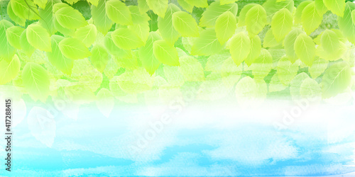 新緑 葉 春 背景 Wall Mural Wallpaper Murals J Boy