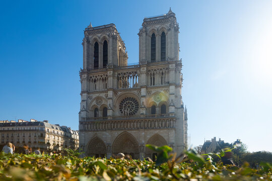 Image of Notre Dame Cathedral a Catholic cathedral, famous landmark in France