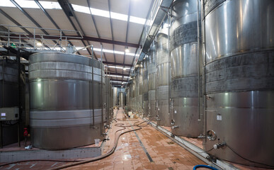 Steel barrels for fermentation of wine in contemporary winemaker factory