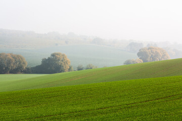 Moravian hills in golden  autumn
