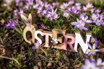 Ostern Schrift mit Krokusse Blumen und Wiese im Frühling 