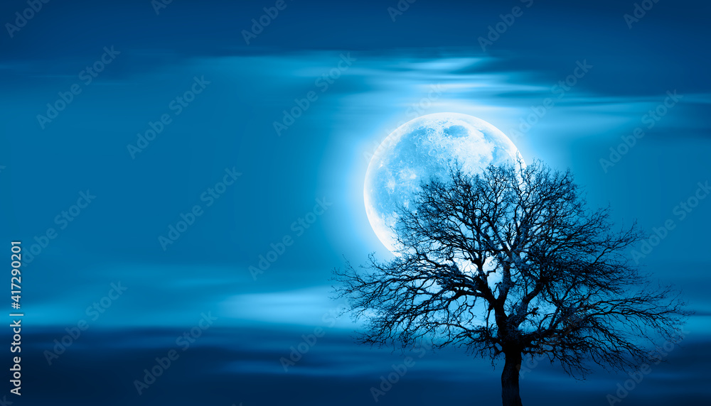 Poster lone dead tree with super full blue moon -