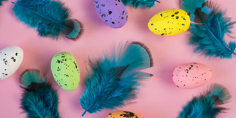 Colored easter eggs and blue feather on a pink background, web banner