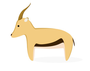 Cute gazelle on a white background. Safari Animals