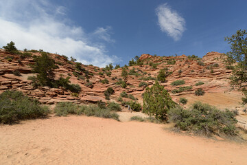 Scenic view of the rocky terrain at Zion National Park