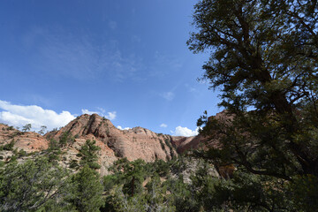 Scenic view of the mountains, cliffs and trees at Zion National Park on a sunny day