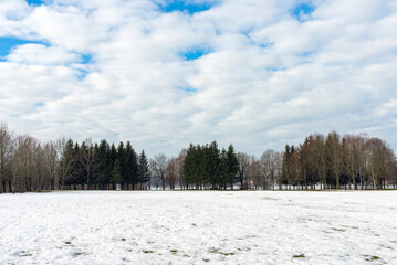 Spring landscape.Snow next to a forest on a spring winter cloudy day.
