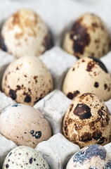 quail eggs in a paper cell.