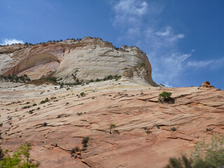 Landscape view of the cliffs and trees at Zion National Park on a sunny day