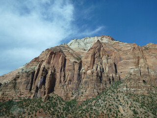 Landscape view of the cliffs and trees at Zion National Park on a sunny day