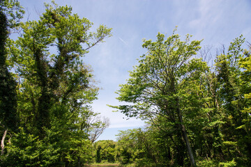 Beauty of Jeju Island: Seascape, Landscape