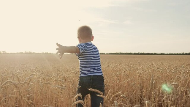 boy run across a wheat field in the park. happy family kid dream concept. boy running across a yellow field in the park. kid son run dream. happy family and fun childhood concept