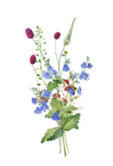 Watercolor bouquet of herbs and blue forest flowers on a white background 