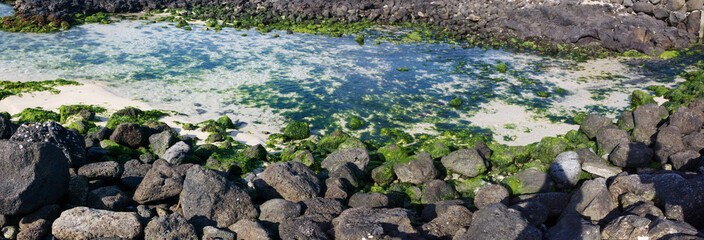 Beauty of Jeju Island: Seascape, Landscape