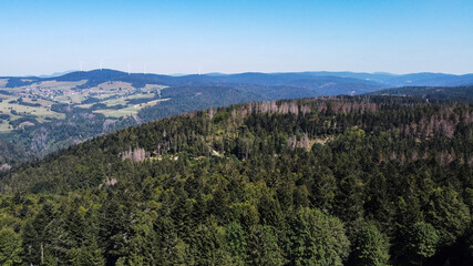 Fototapeta na wymiar View from Hornbergbecken near Herrischried over the Black Forest to the windmills near Gersbach