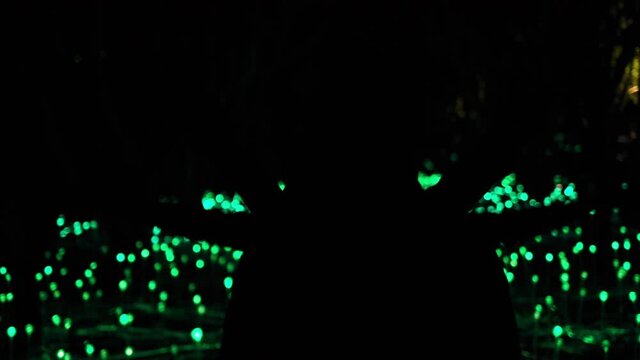 Silhouette of people in artistic performance with green light bokeh in a dark room