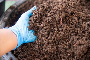 Organic fertilizers with worm AF.