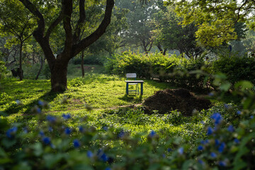 Study bench in a park with beautiful light streaming