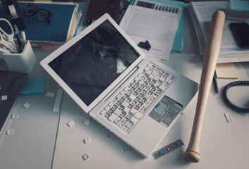 Destroyed laptop and baseball bat