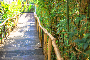 Obraz premium The natural background of the morning light rising in the middle of the sea and surrounded by mountains, cool breezes, the beauty of the ecology of the tourist attractions.