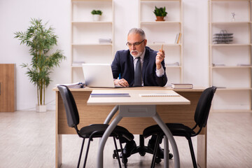 Old male employer sitting in the office