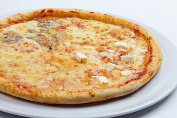 tasty pizza on the white background