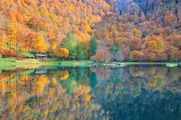 Couleurs d'automne à Bethmale - Ariège