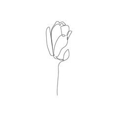 Magnolia Flower Line Art Drawing. Flower Minimalist One Line Illustration. Magnolia Plant Black Sketch Isolated on White Background. Vector EPS 10