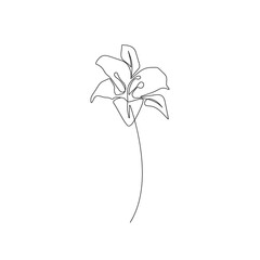 Flower Line Art Drawing. Floral Minimalist Contour Drawing. One Line llustration. Plant Black Sketch Isolated on White Background. Vector EPS 10