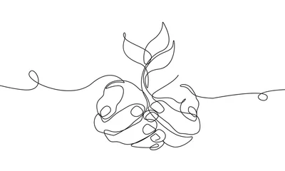 Foto auf Acrylglas Eine Linie Baum mit Blättern in Händen Schwarze Skizze, Isolated on White Background. Ökologie-Symbol für modernes Design. Hände mit Plant One Line Illustration. Minimalistische botanische Zeichnung. Vektor-EPS 10.