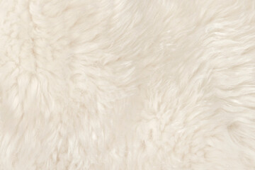 Natural animal white wool seamless texture background. light sheep wool. texture of fluffy fur for designers. close-up fragment white beige wool carpet