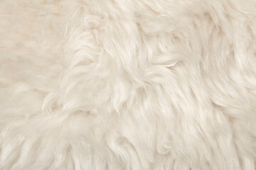 Natural animal white wool seamless texture background. light sheep wool. texture of fluffy fur for designers. close-up fragment white beige wool carpet