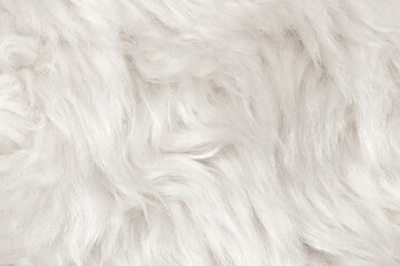 Natural animal white wool seamless texture background. light sheep wool. texture of fluffy fur for designers. close-up fragment white beige wool carpet
