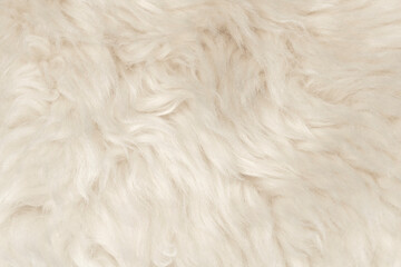 Natural animal white wool seamless texture background. light sheep wool. texture of fluffy fur for...