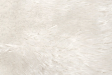 Obraz na płótnie Canvas Natural animal white wool seamless texture background. light sheep wool. texture of fluffy fur for designers. close-up fragment white beige wool carpet