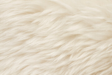 Natural animal white wool seamless texture background. light sheep wool. texture of fluffy fur for designers. close-up fragment white beige wool carpet