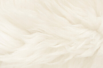Natural animal white wool seamless texture background. light sheep wool. texture of fluffy fur for designers. close-up fragment white beige wool carpet