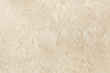 Fototapeta na wymiar Natural animal white wool seamless texture background. light sheep wool. texture of fluffy fur for designers. close-up fragment white beige wool carpet