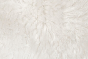 Natural animal white wool seamless texture background. light sheep wool. texture of fluffy fur for designers. close-up fragment white beige wool carpet
