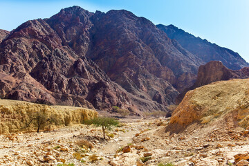  Picturesque multi-colored landscape