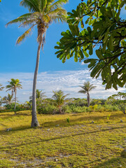 Fototapeta premium postal card