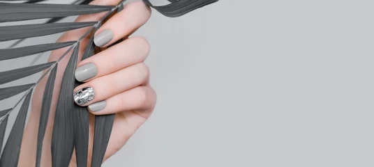  Vrouwelijke hand met grijs nagelontwerp. Grijze nagellak manicure en glitter zilveren nail art. Tropisch blad in de vrouwelijke hand © devmarya
