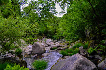Galician Forest rocky landscape with a water stream river
