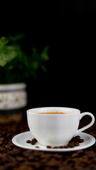 a couple of cups and saucers stand on a table strewn with coffee beans, the background is black, a pot with a green plant stands in the background in a blur