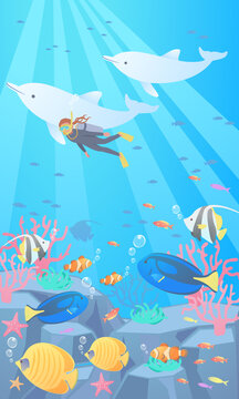 海の底 Images Browse 1 Stock Photos Vectors And Video Adobe Stock