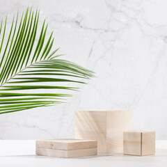 Eco tropical style for presentation and display product - wooden podiums with green palm leaf in...