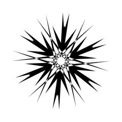 Fototapeta premium Snowflake Icon