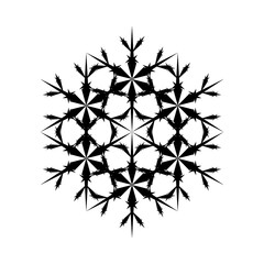 Obraz premium Snowflake Icon