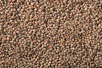 Natural background of dried lentil seeds. Concept of healthy and nutritious food