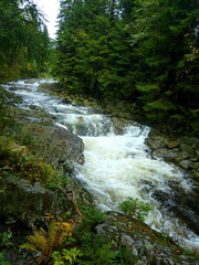 Fototapeta premium Czech Republic - view of the rapids on the river Elbe near the town of Spindleruv Mlyn